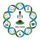 PAIC